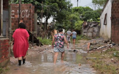 Dani Portela pede informações aos municípios sobre preparação para período de chuvas